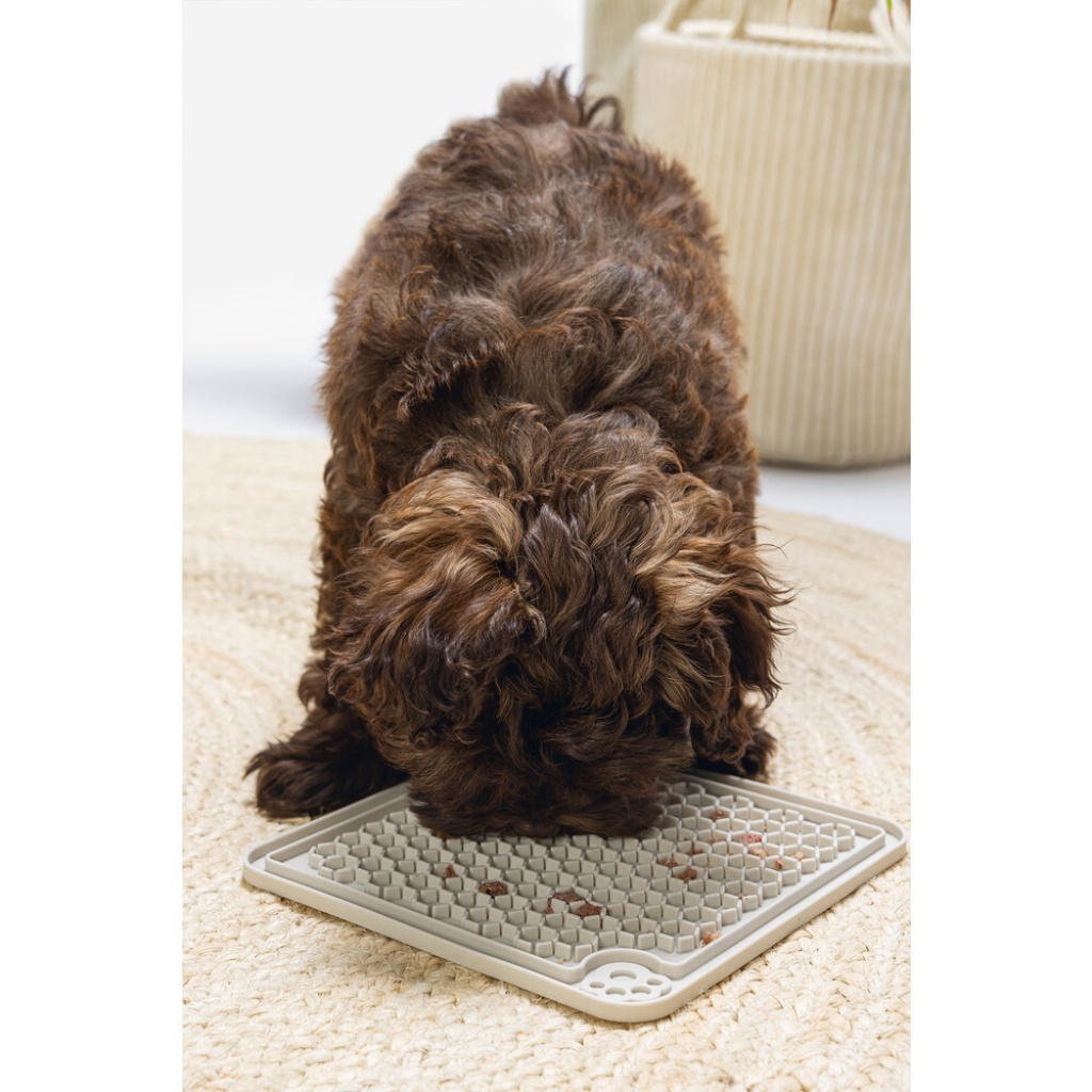 Beeztees Diza Silikon Kare Yavru Köpek Yaş Mama Yeme Oyuncağı 20x20cm (Gri)