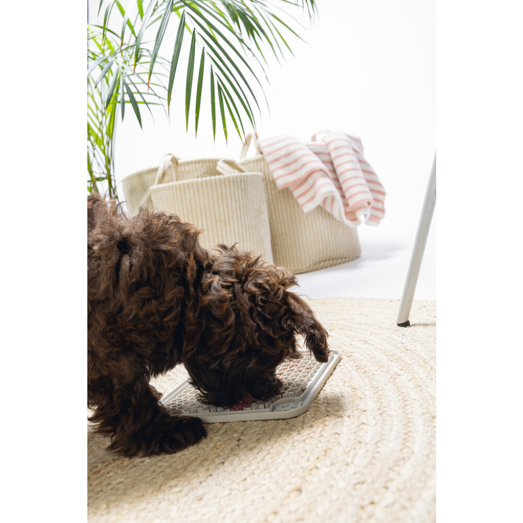 Beeztees Diza Silikon Kare Yavru Köpek Yaş Mama Yeme Oyuncağı 20x20cm (Gri)