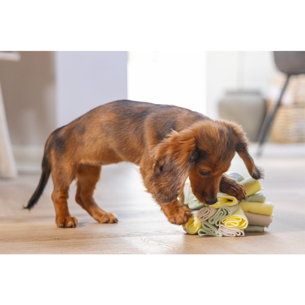 Beeztees Izzy Polar Top Köpek Ödül Saklama Oyuncağı 13cm (Gri)