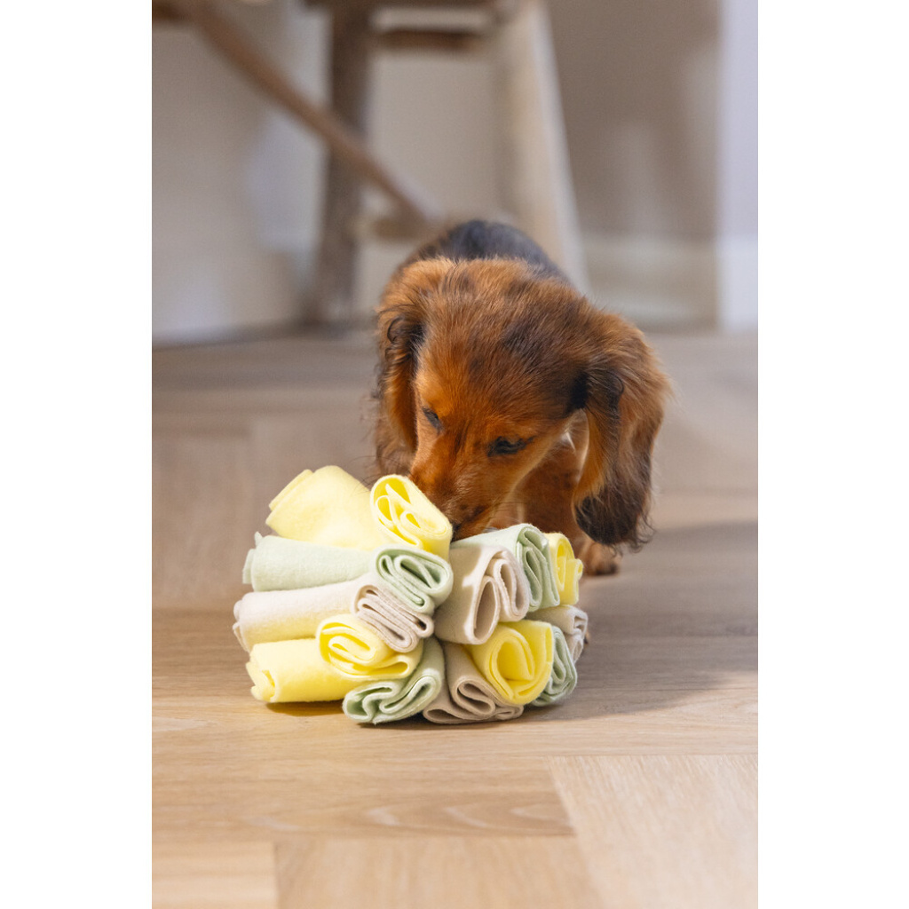 Beeztees Izzy Polar Top Köpek Ödül Saklama Oyuncağı 13cm (Gri)