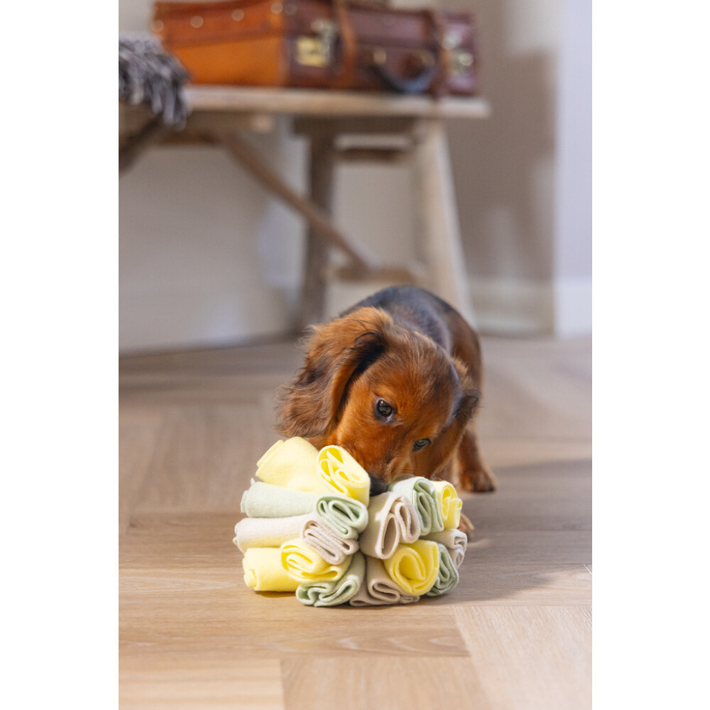 Beeztees Izzy Polar Top Köpek Ödül Saklama Oyuncağı 13cm (Gri)