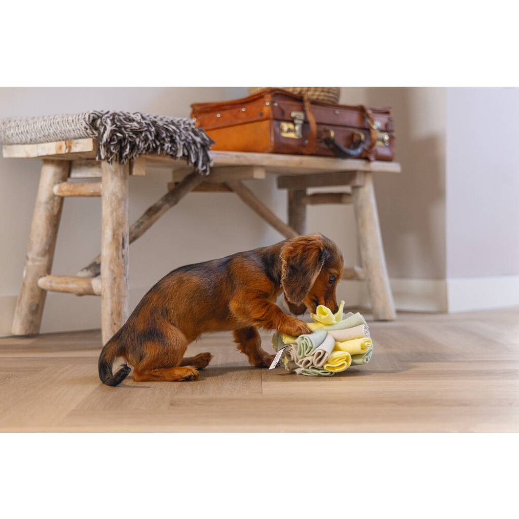 Beeztees Izzy Polar Top Köpek Ödül Saklama Oyuncağı 13cm (Gri)