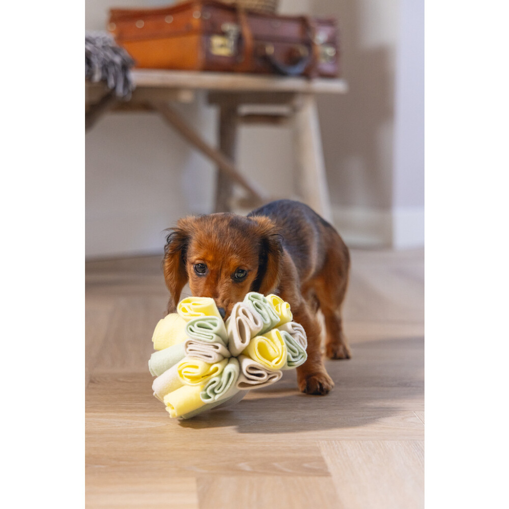 Beeztees Izzy Polar Top Köpek Ödül Saklama Oyuncağı 13cm (Gri)