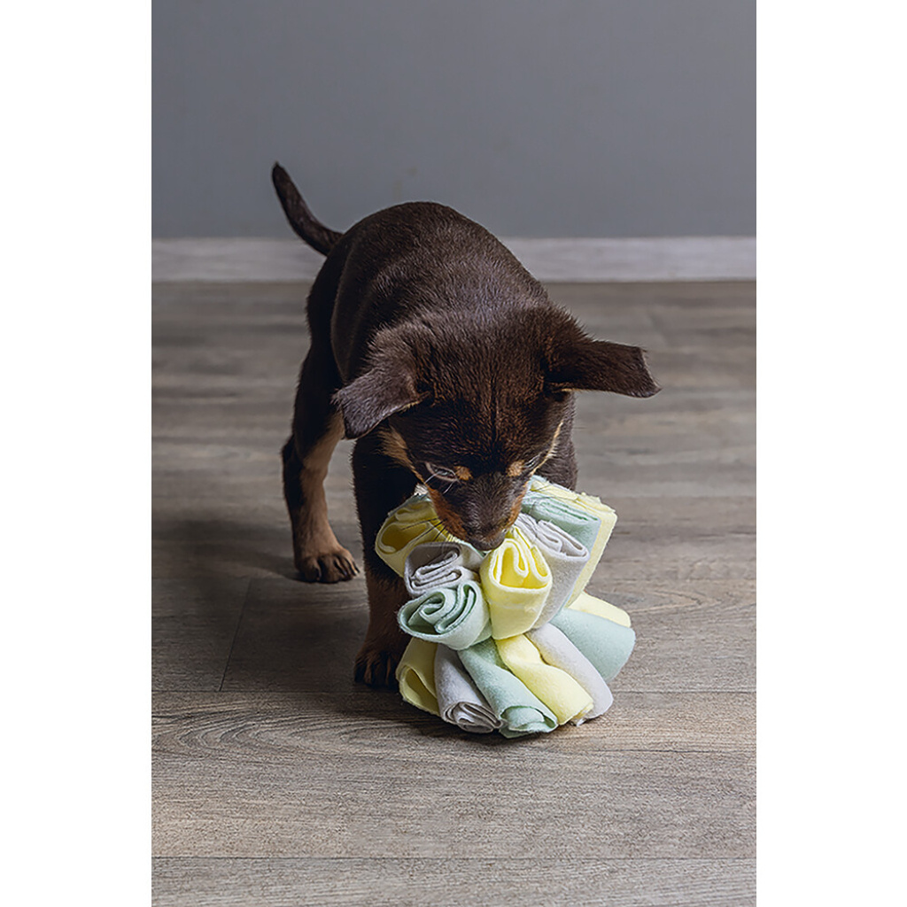 Beeztees Izzy Polar Top Köpek Ödül Saklama Oyuncağı 13cm (Gri)