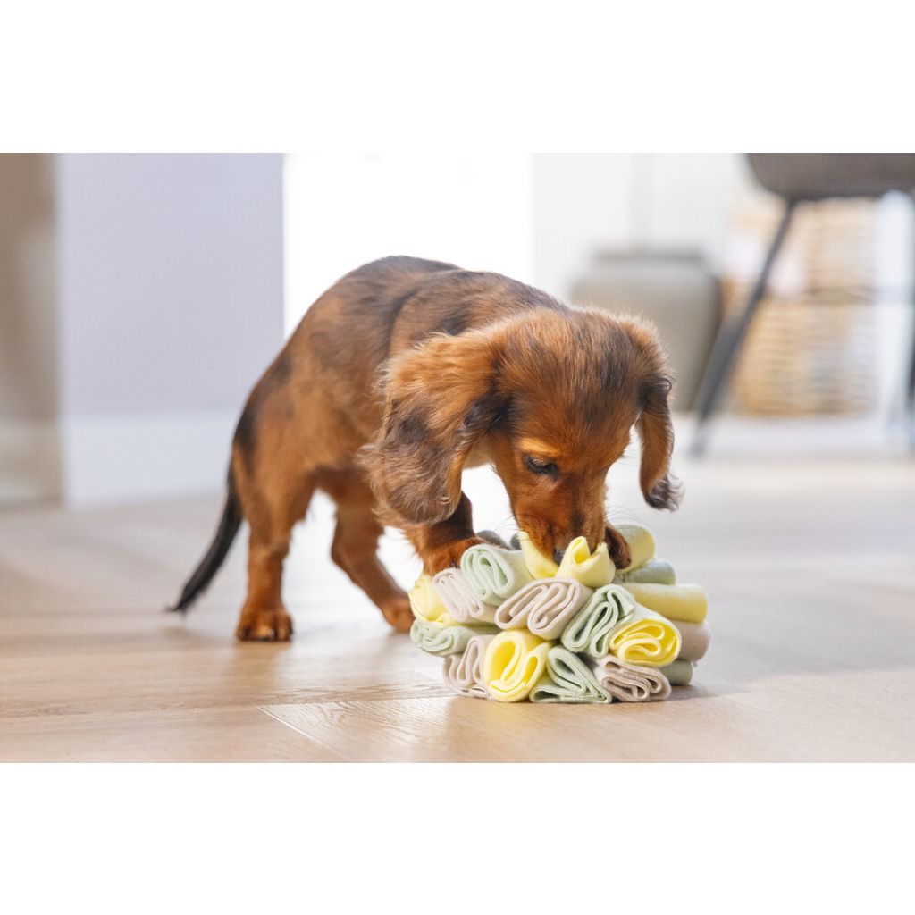 Beeztees Izzy Polar Top Köpek Ödül Saklama Oyuncağı 13cm (Gri)