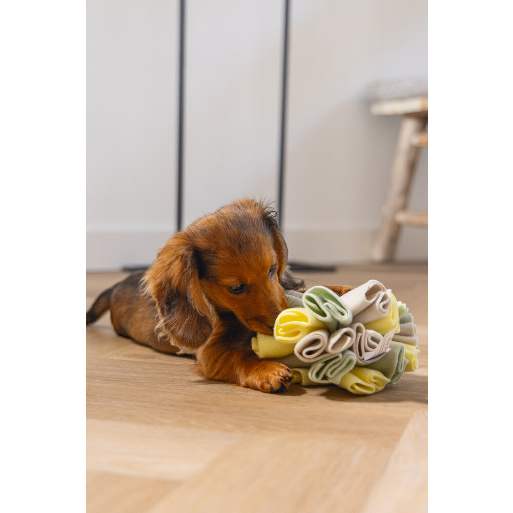 Beeztees Izzy Polar Top Köpek Ödül Saklama Oyuncağı 13cm (Gri)
