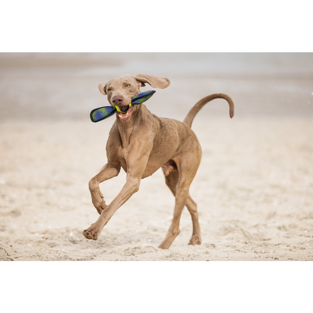 Beeztees Tenis Topu Yüzen Köpek Oyuncağı 30x9,5x6,3cm (Sarı)
