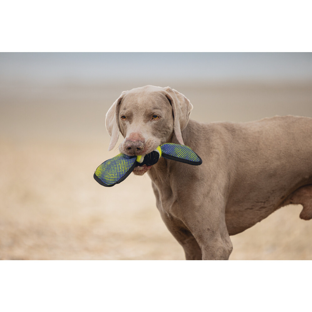 Beeztees Tenis Topu Yüzen Köpek Oyuncağı 30x9,5x6,3cm (Sarı)