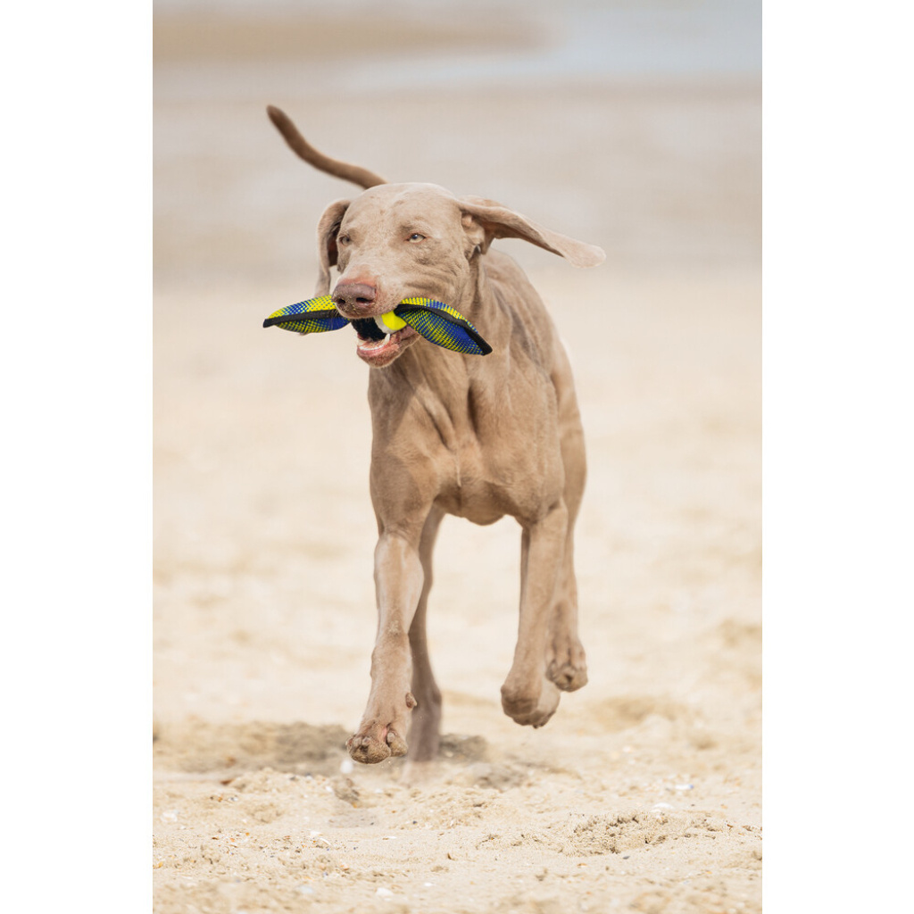 Beeztees Tenis Topu Yüzen Köpek Oyuncağı 30x9,5x6,3cm (Sarı)