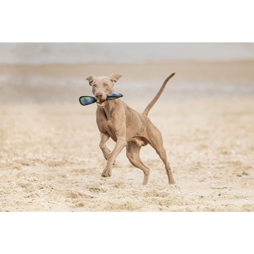 Beeztees Tenis Topu Yüzen Köpek Oyuncağı 30x9,5x6,3cm (Sarı)