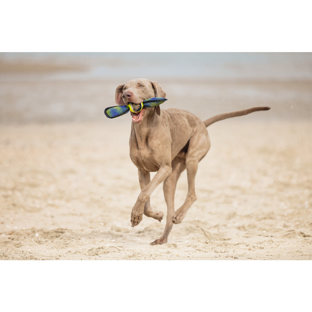 Beeztees Tenis Topu Yüzen Köpek Oyuncağı 30x9,5x6,3cm (Sarı)