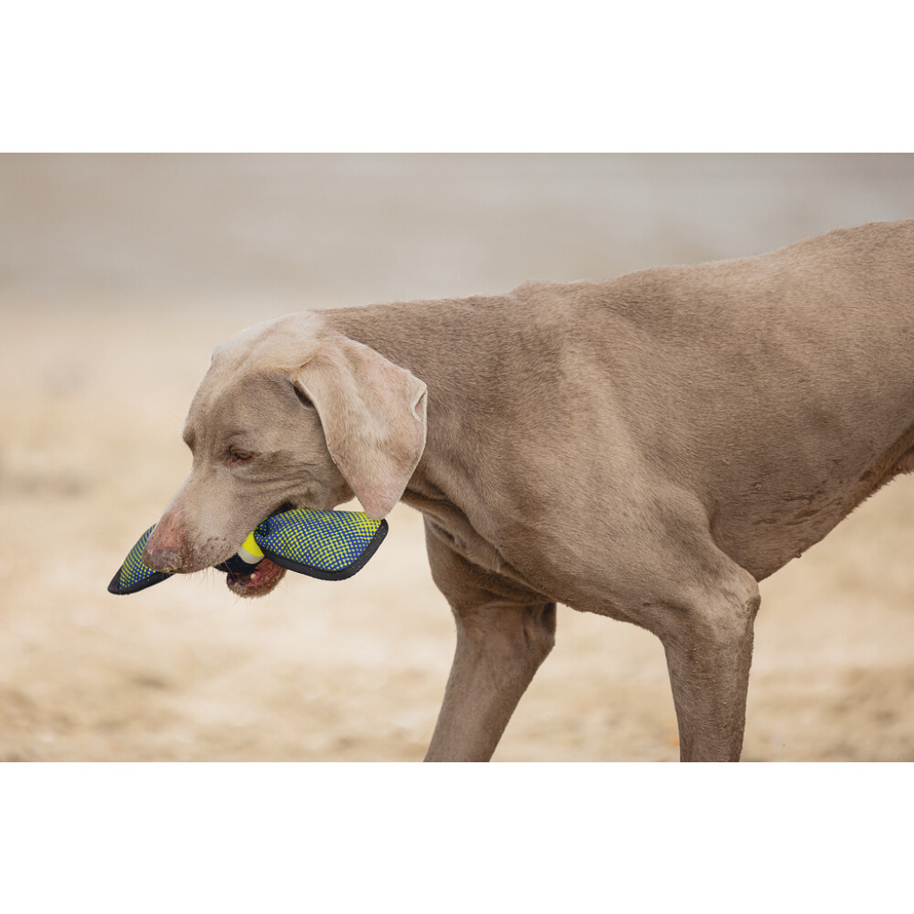 Beeztees Tenis Topu Yüzen Köpek Oyuncağı 30x9,5x6,3cm (Sarı)