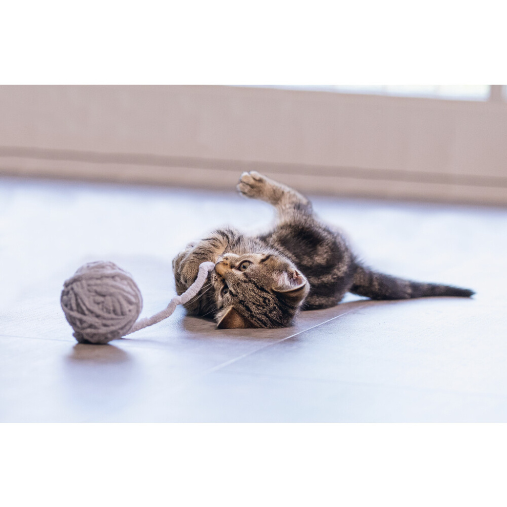 Beeztees Isar Yün Kuyruklu Top Yavru Kedi Oyuncağı 6,5cm