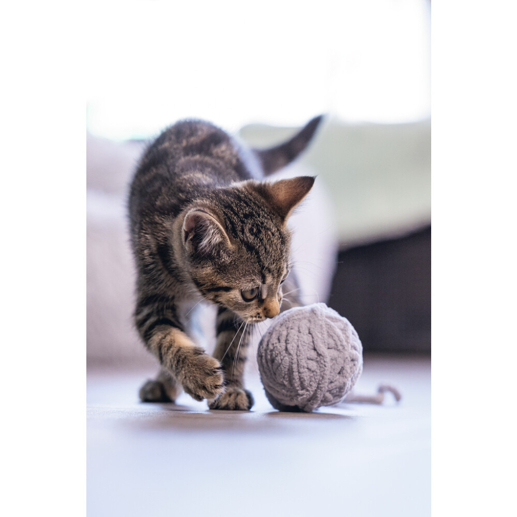 Beeztees Isar Yün Kuyruklu Top Yavru Kedi Oyuncağı 6,5cm