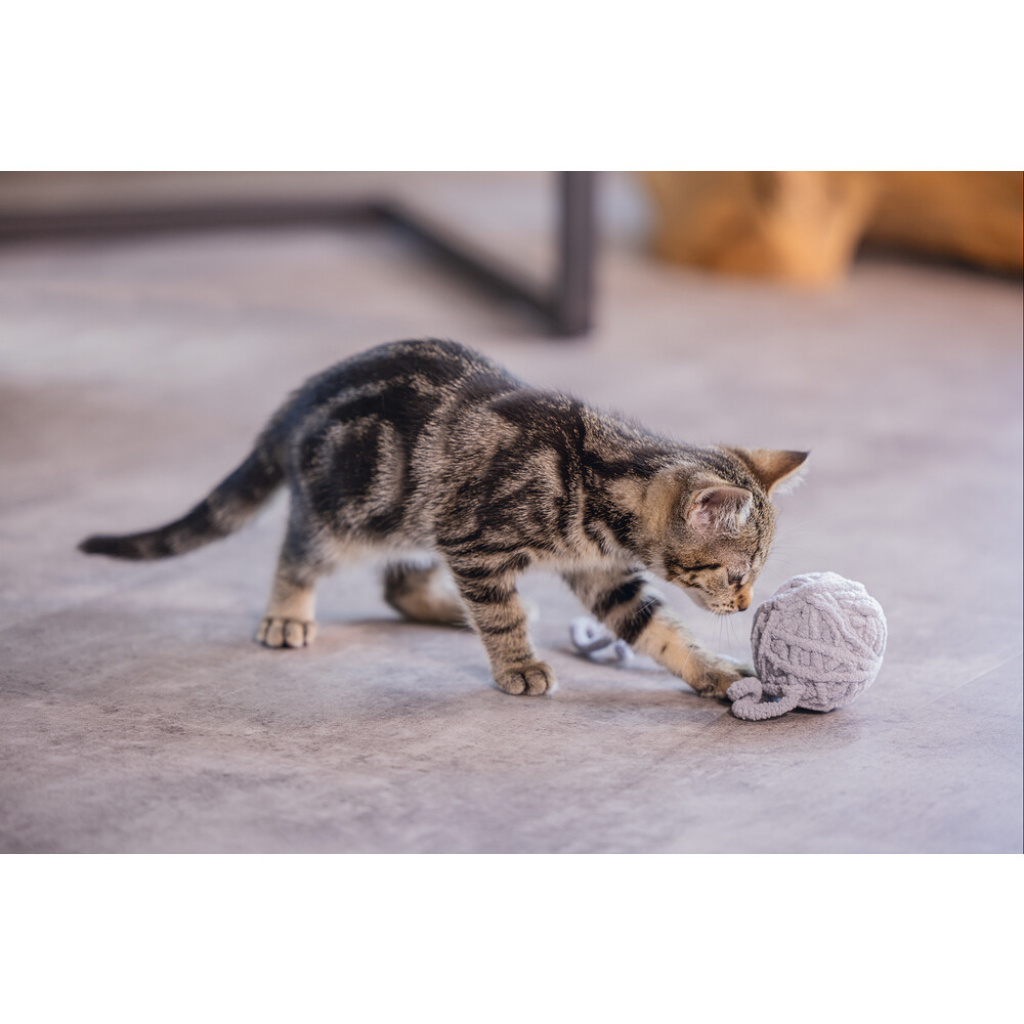 Beeztees Isar Yün Kuyruklu Top Yavru Kedi Oyuncağı 6,5cm