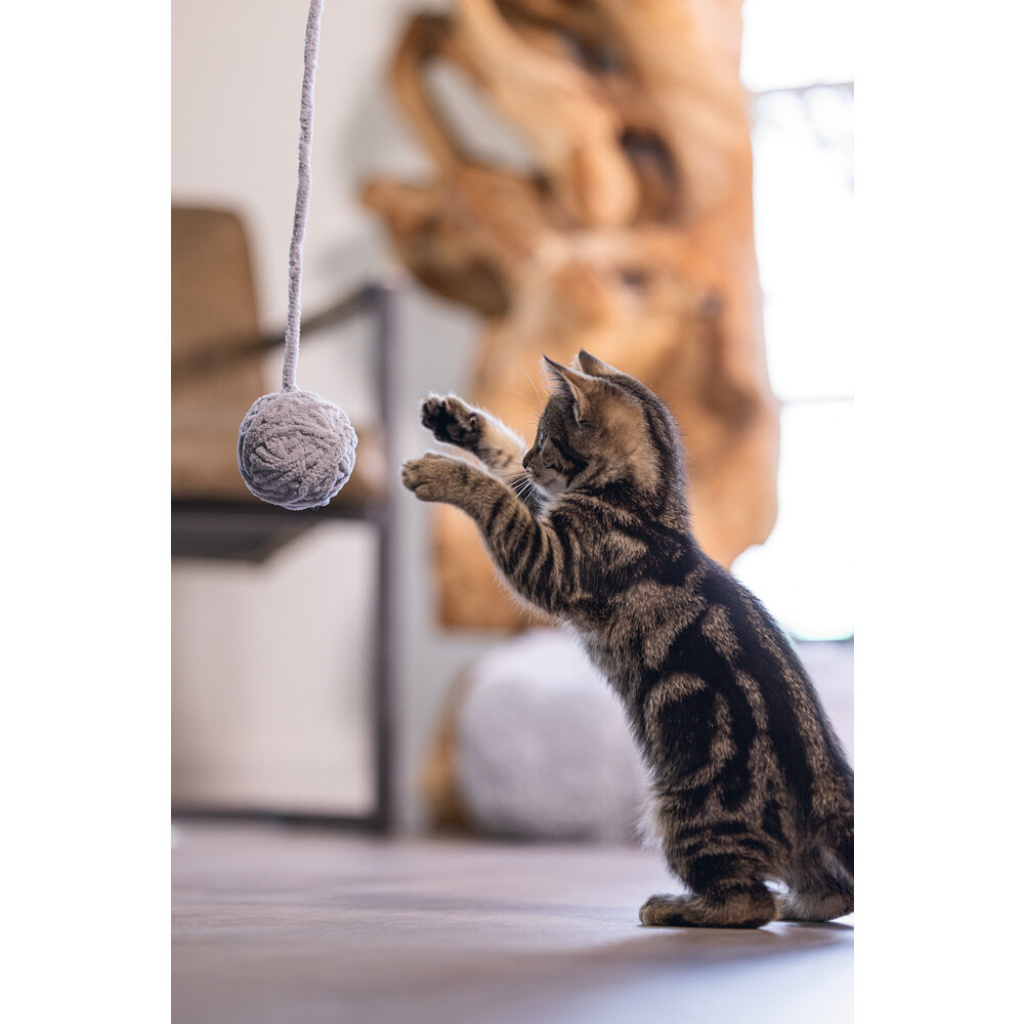 Beeztees Isar Yün Kuyruklu Top Yavru Kedi Oyuncağı 6,5cm