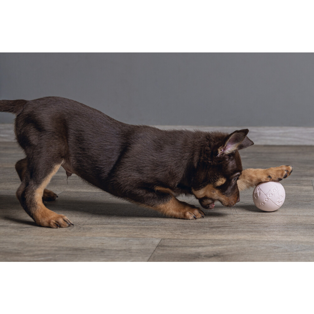 Beeztees Vanilya Kokulu Kauçuk Top Yavru Köpek Oyuncağı 6cm (Pembe)