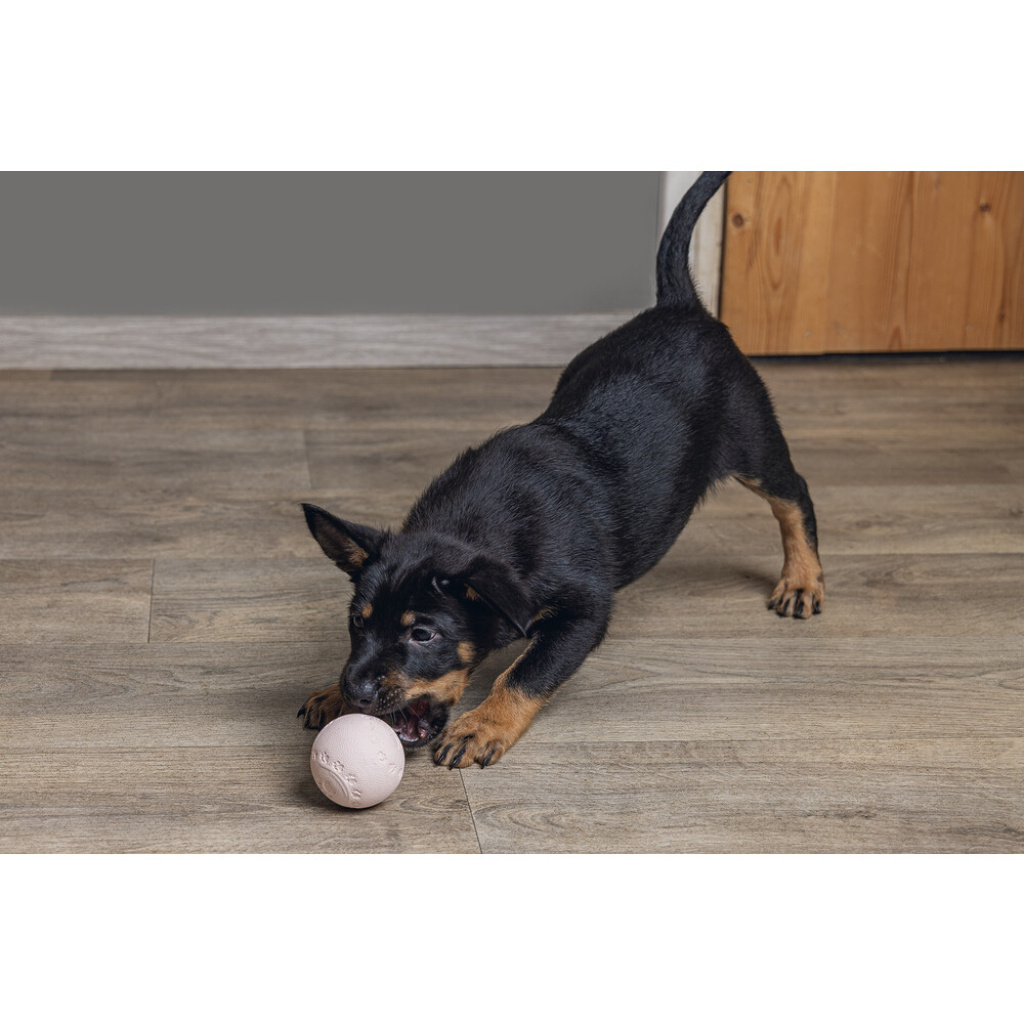 Beeztees Vanilya Kokulu Kauçuk Top Yavru Köpek Oyuncağı 6cm (Pembe)