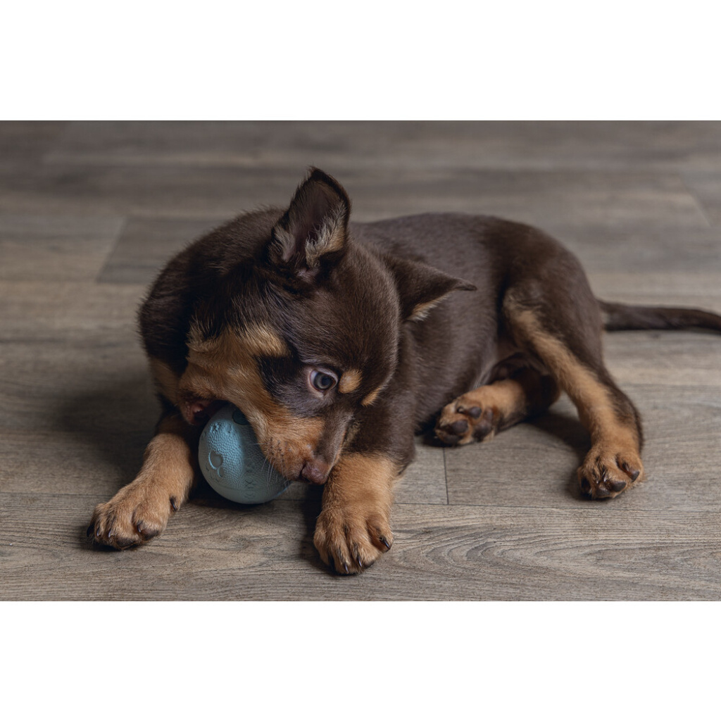 Beeztees Vanilya Kokulu Kauçuk Top Yavru Köpek Oyuncağı 6cm (Yeşil)