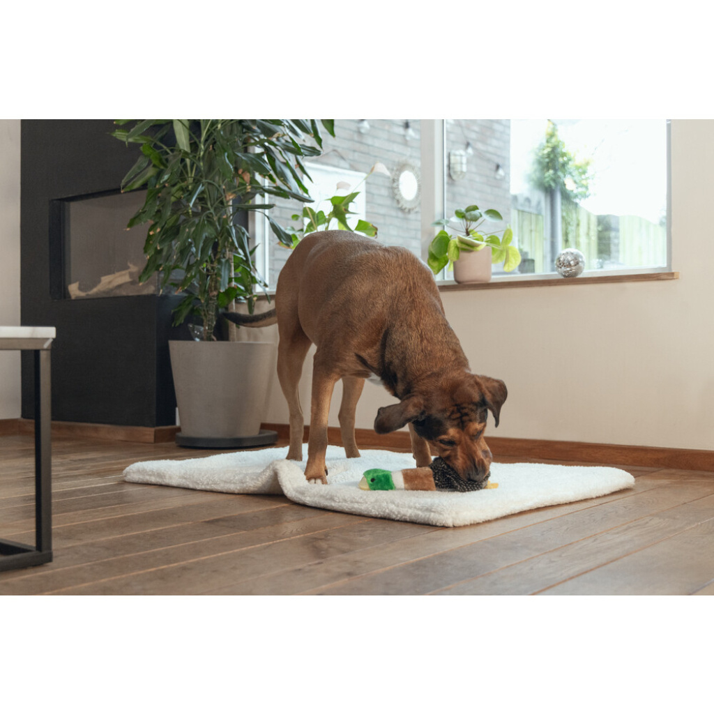 Beeztees Peluş Ördek Sesli Köpek Oyuncağı 36x25,5x9cm (Kahverengi)