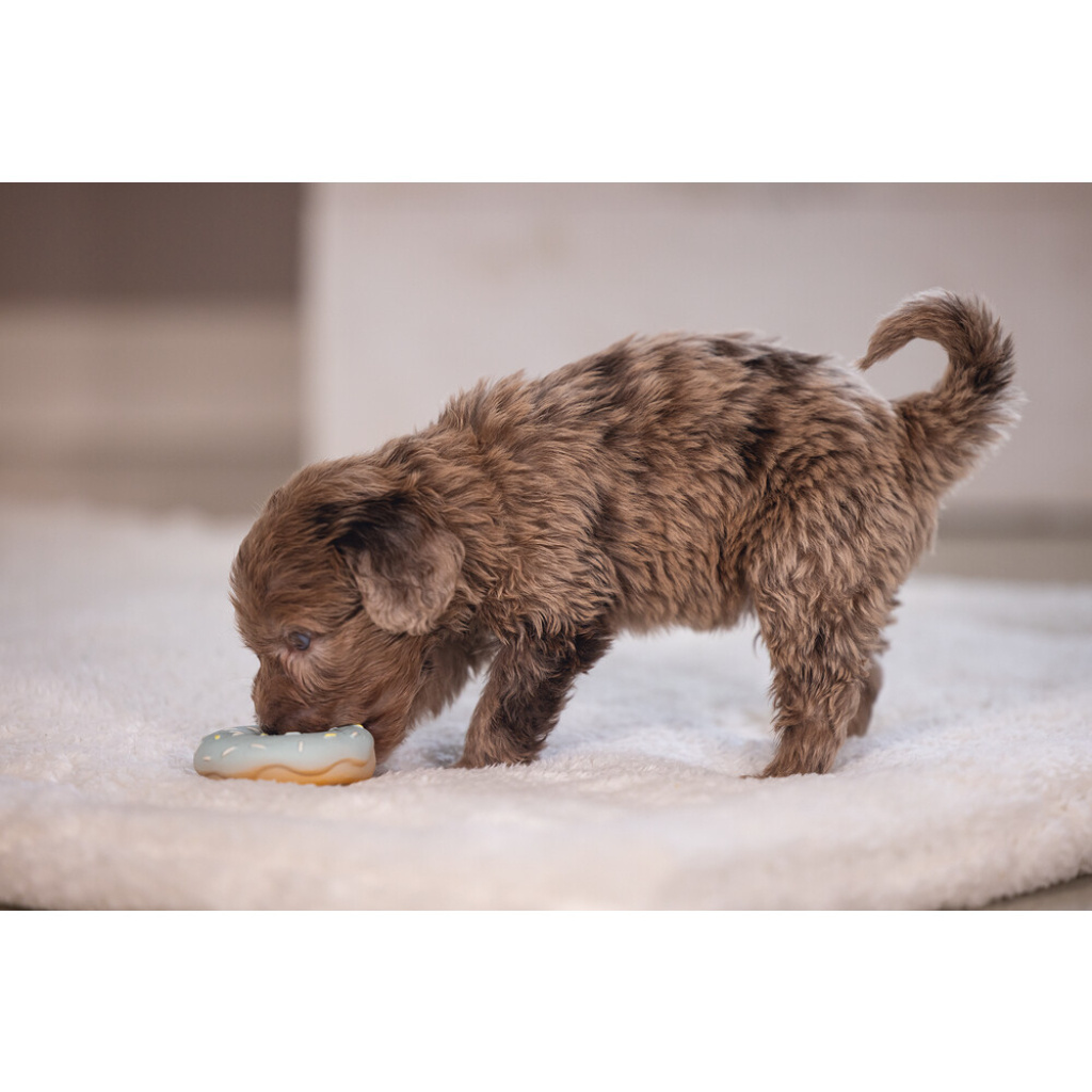 Beeztees Jum Lateks Donut Sesli Köpek Oyuncağı 7x7x3cm