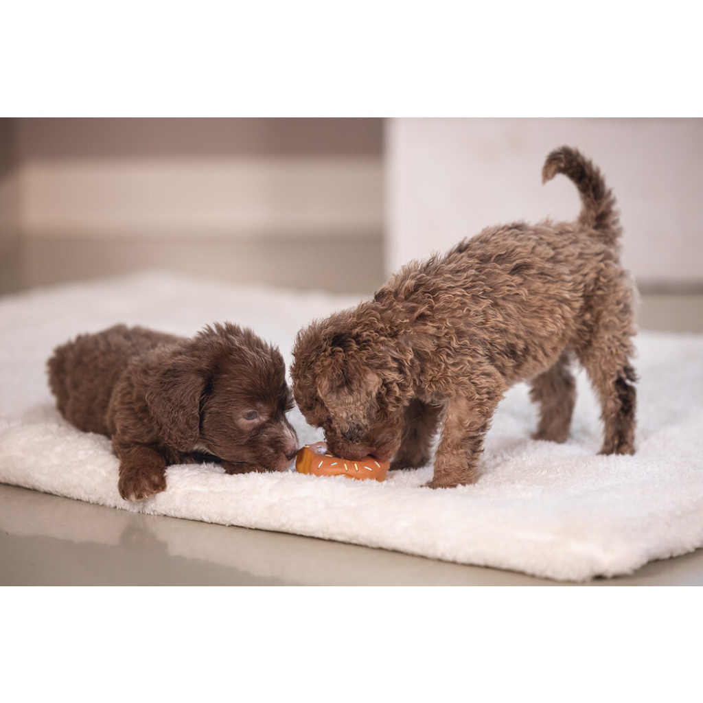 Beeztees Jum Lateks Donut Sesli Köpek Oyuncağı 7x7x3cm