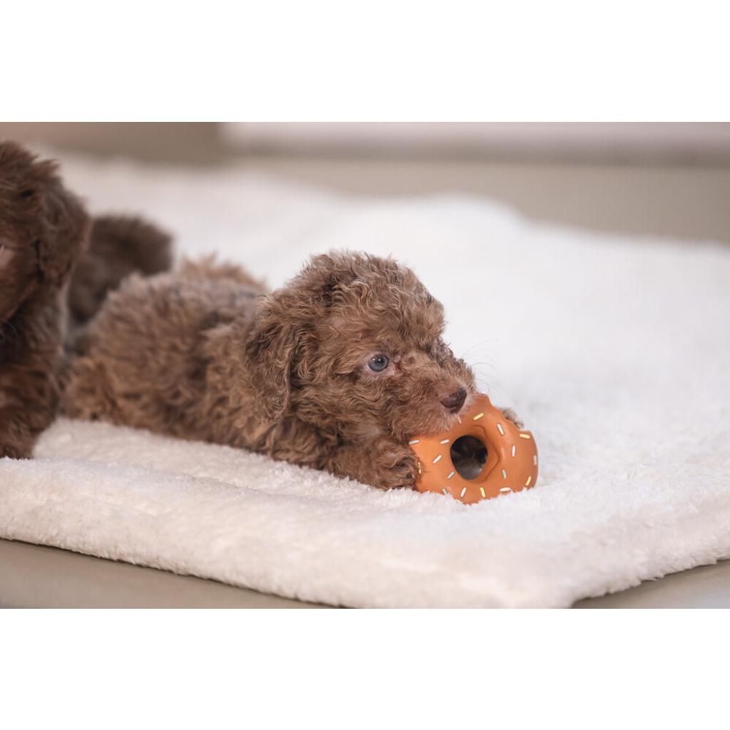 Beeztees Jum Lateks Donut Sesli Köpek Oyuncağı 7x7x3cm
