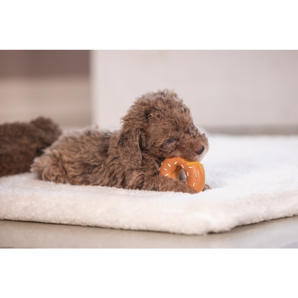Beeztees Jum Lateks Donut Sesli Köpek Oyuncağı 7x7x3cm