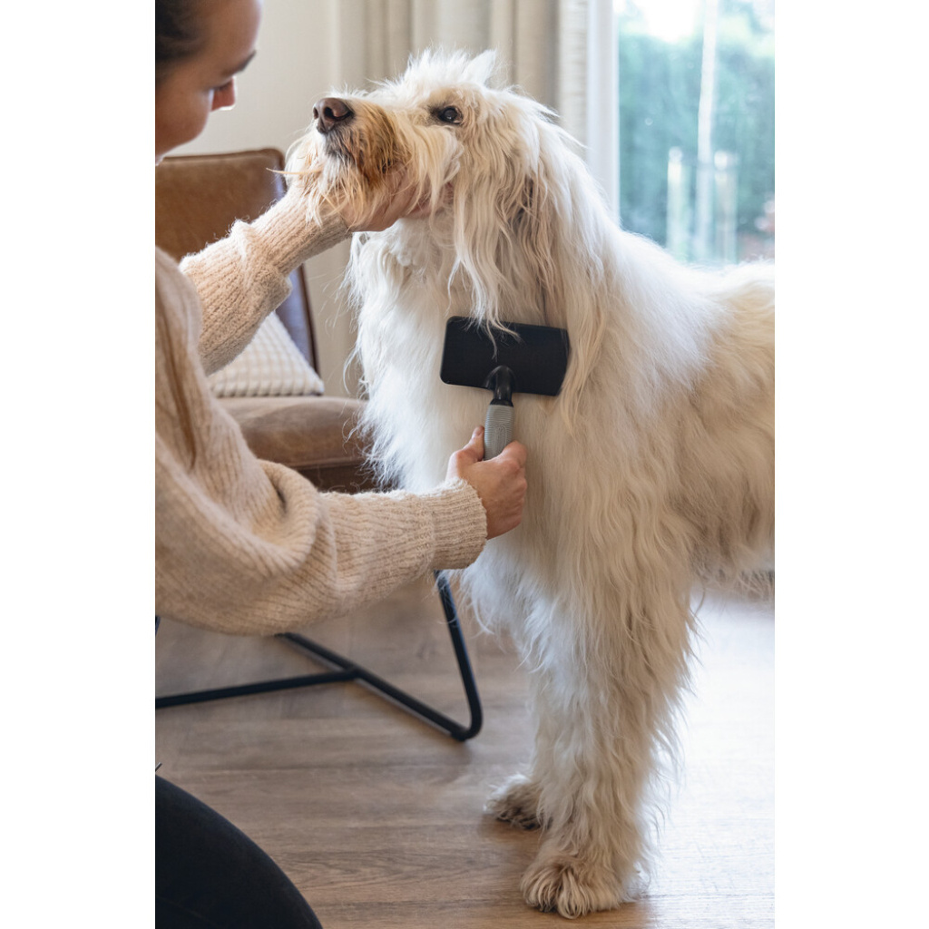 Beeztees Slicker Kolay Tarama Köpek Tarağı 19x12x4cm (Siyah)