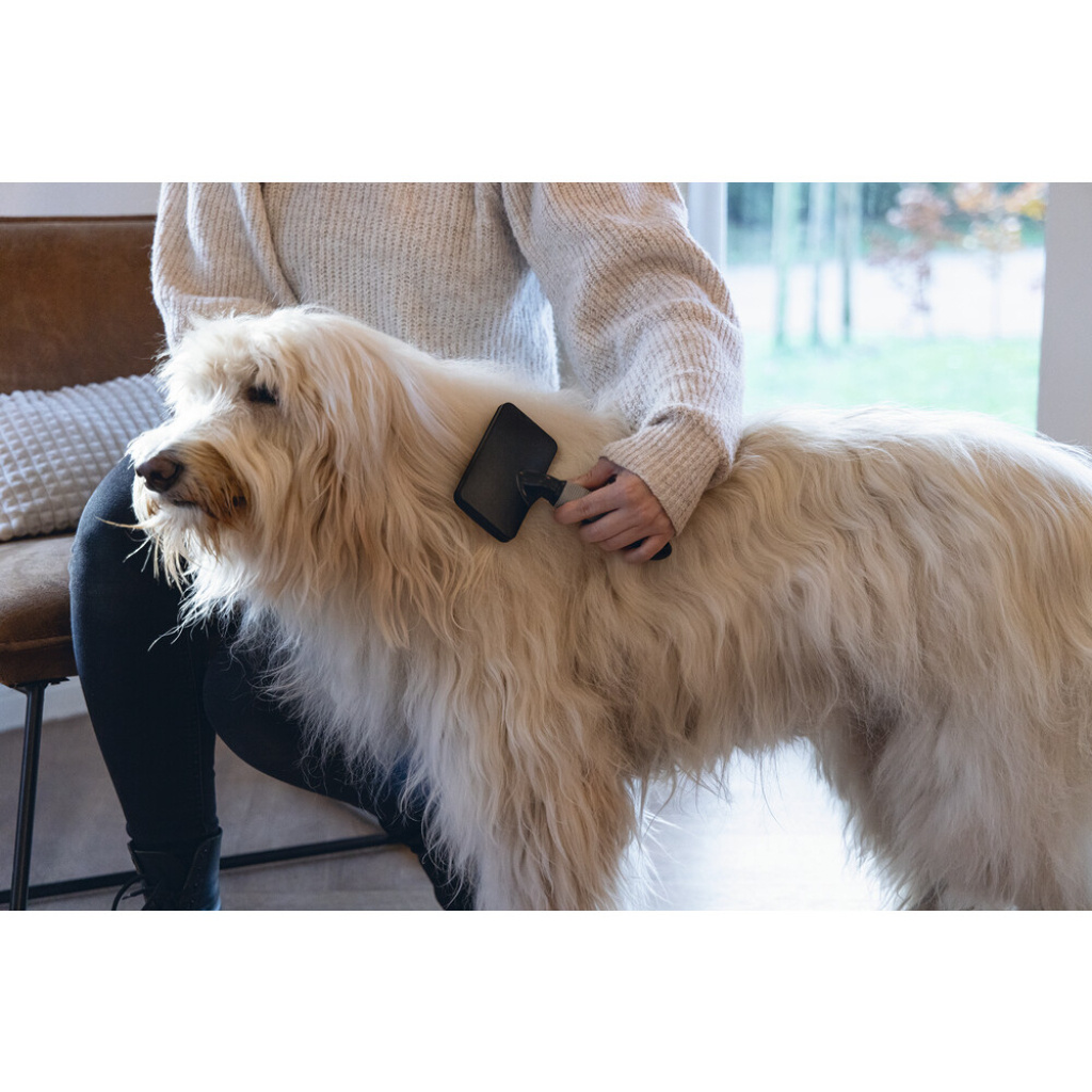 Beeztees Slicker Kolay Tarama Köpek Tarağı 19x12x4cm (Siyah)