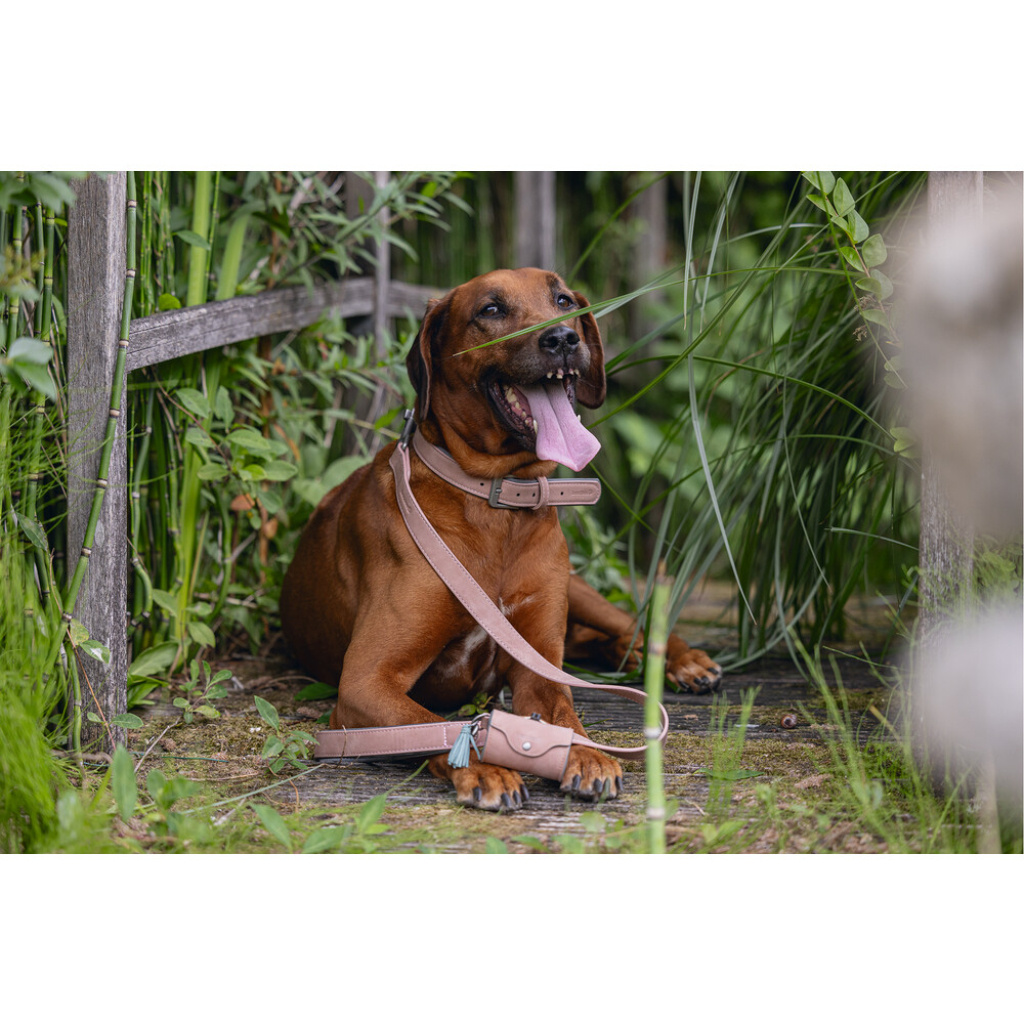 Beeztees Balacron Köpek Dışkı Toplama Poşeti Taşıma Çantası 8x5x5cm (Pembe)