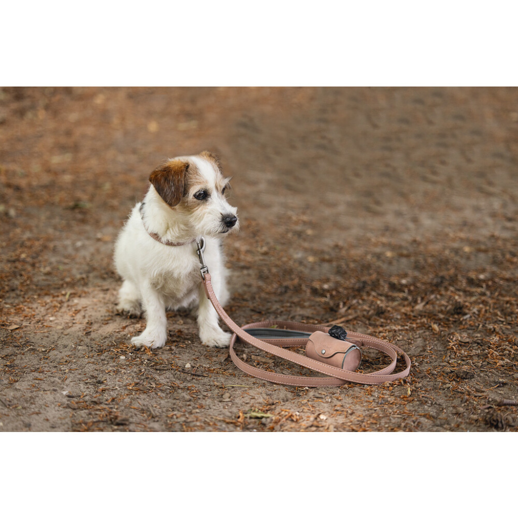 Beeztees Balacron Köpek Dışkı Toplama Poşeti Taşıma Çantası 8x5x5cm (Pembe)