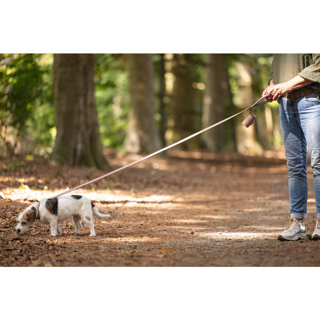 Beeztees Balacron Köpek Dışkı Toplama Poşeti Taşıma Çantası 8x5x5cm (Pembe)