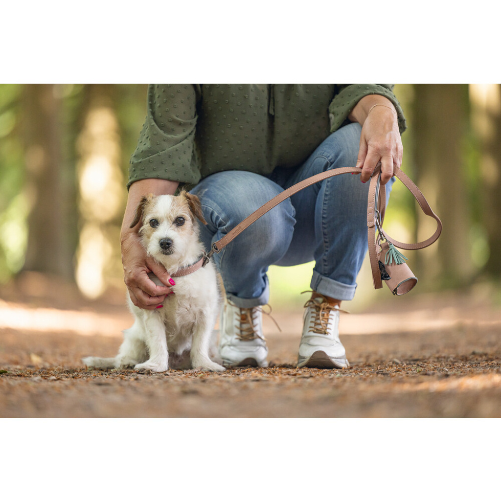 Beeztees Balacron Köpek Dışkı Toplama Poşeti Taşıma Çantası 8x5x5cm (Pembe)