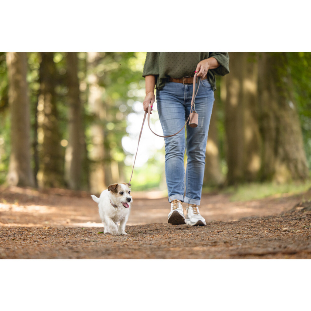 Beeztees Balacron Köpek Dışkı Toplama Poşeti Taşıma Çantası 8x5x5cm (Pembe)