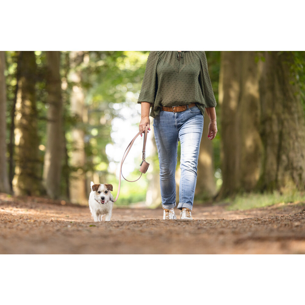Beeztees Balacron Köpek Dışkı Toplama Poşeti Taşıma Çantası 8x5x5cm (Pembe)