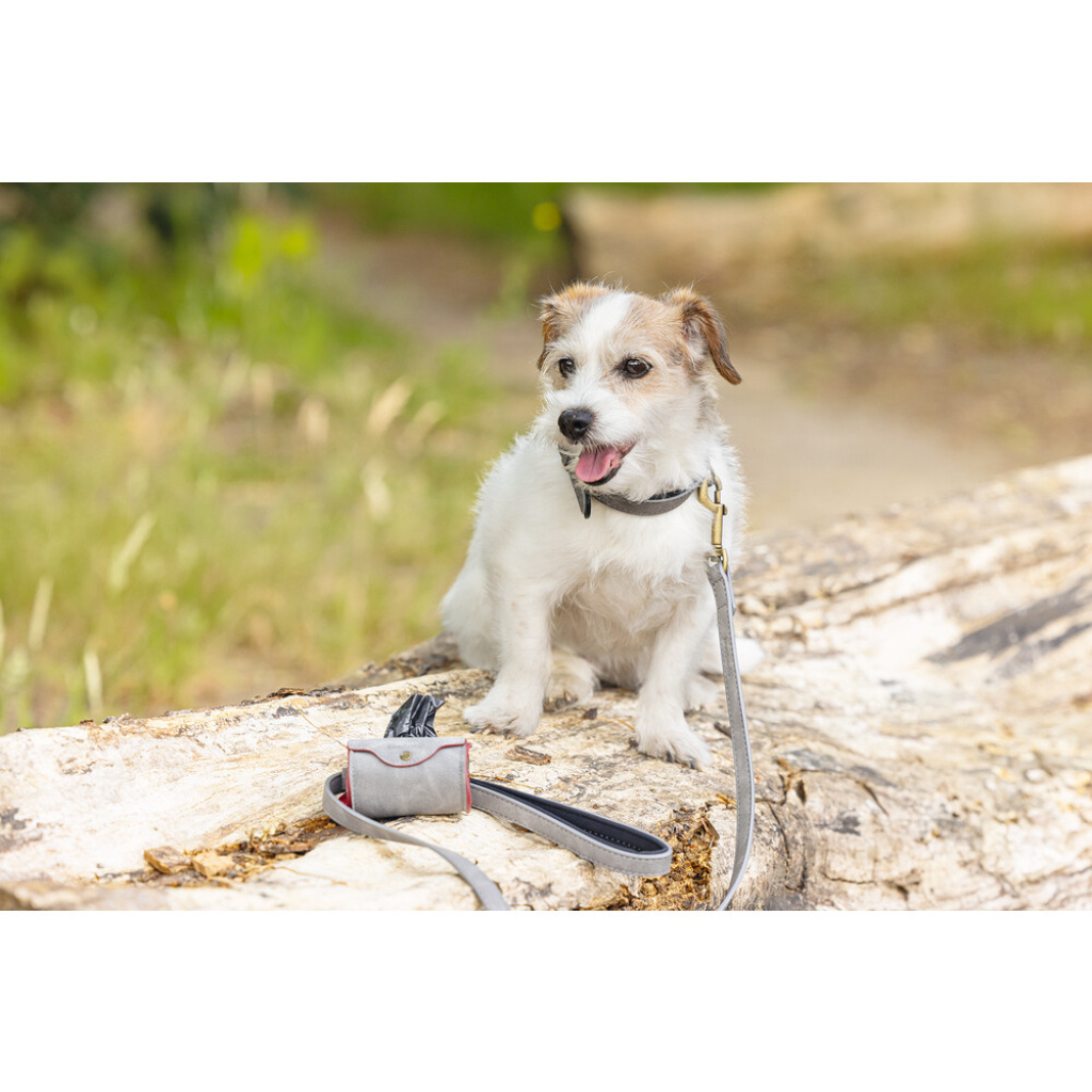 Beeztees Balacron Köpek Dışkı Toplama Poşeti Taşıma Çantası 8x5x5cm (Gri)