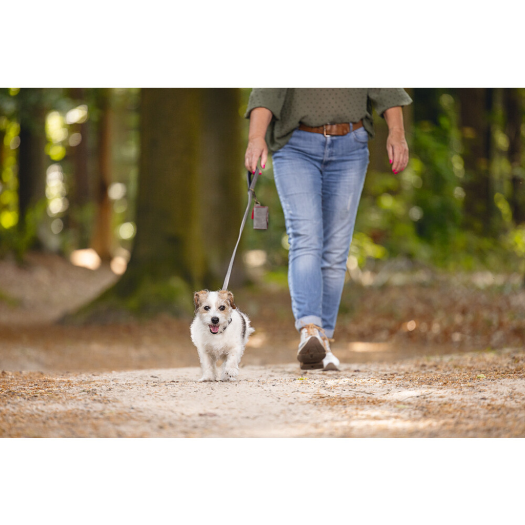 Beeztees Balacron Köpek Dışkı Toplama Poşeti Taşıma Çantası 8x5x5cm (Gri)