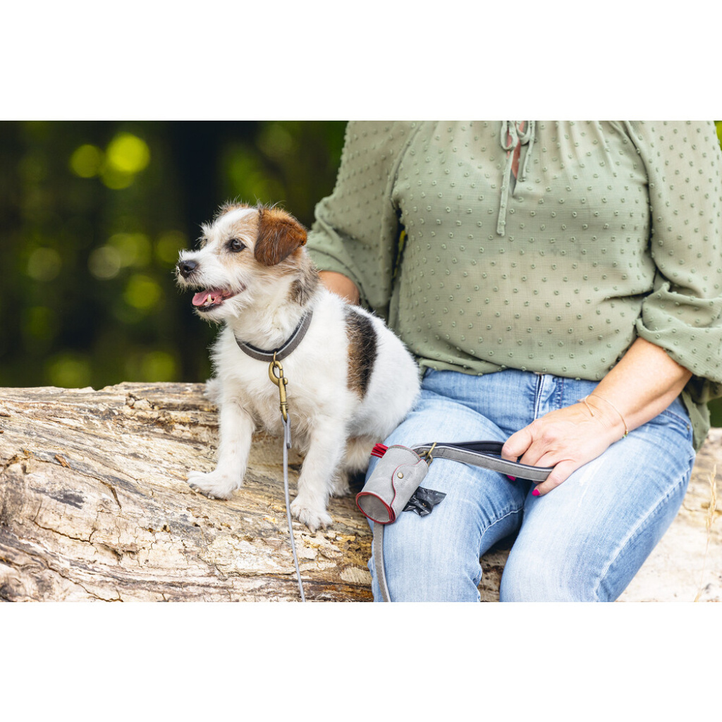 Beeztees Balacron Köpek Dışkı Toplama Poşeti Taşıma Çantası 8x5x5cm (Gri)