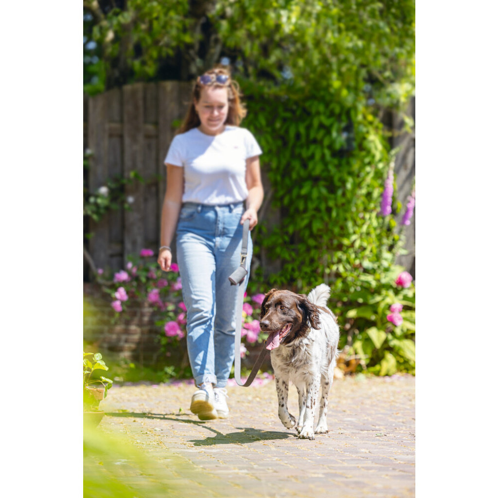 Beeztees Balacron Köpek Dışkı Toplama Poşeti Taşıma Çantası 8x5x5cm (Gri)