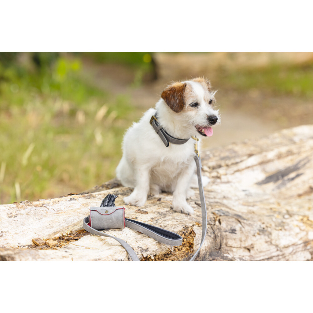 Beeztees Balacron Köpek Dışkı Toplama Poşeti Taşıma Çantası 8x5x5cm (Gri)