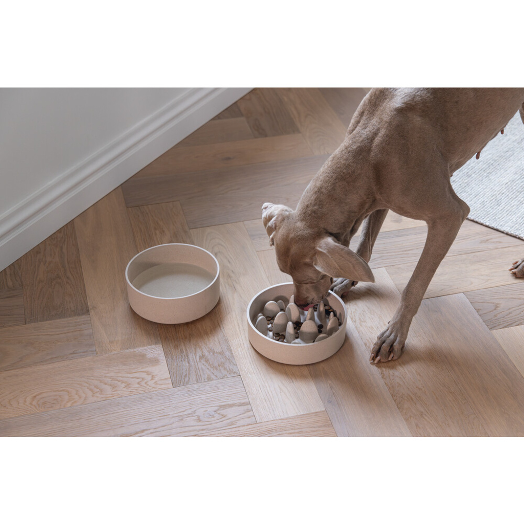 Beeztees Dbl Pom Yavaş Besleme Köpek Mama Kabı 1430ml (Bej)