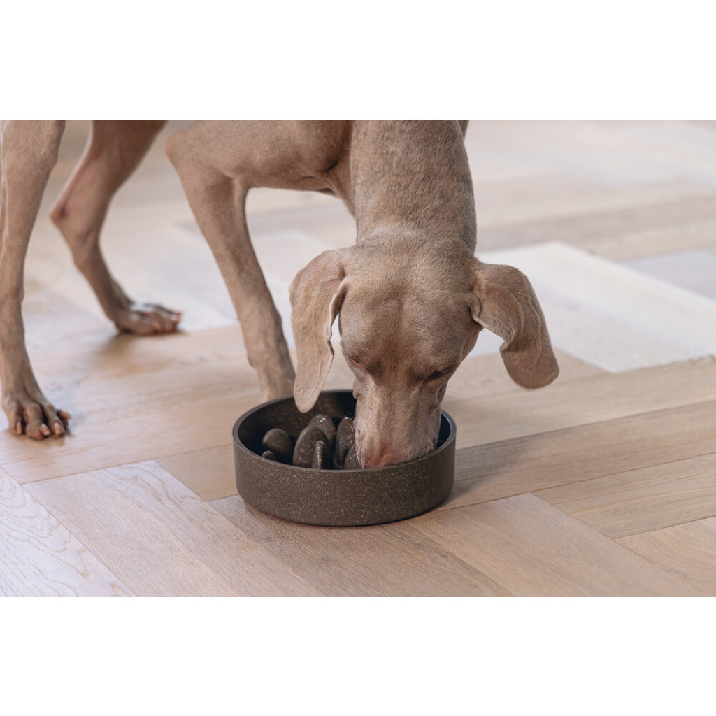 Beeztees Dbl Pom Yavaş Besleme Köpek Mama Kabı 1430ml (Antrasit)