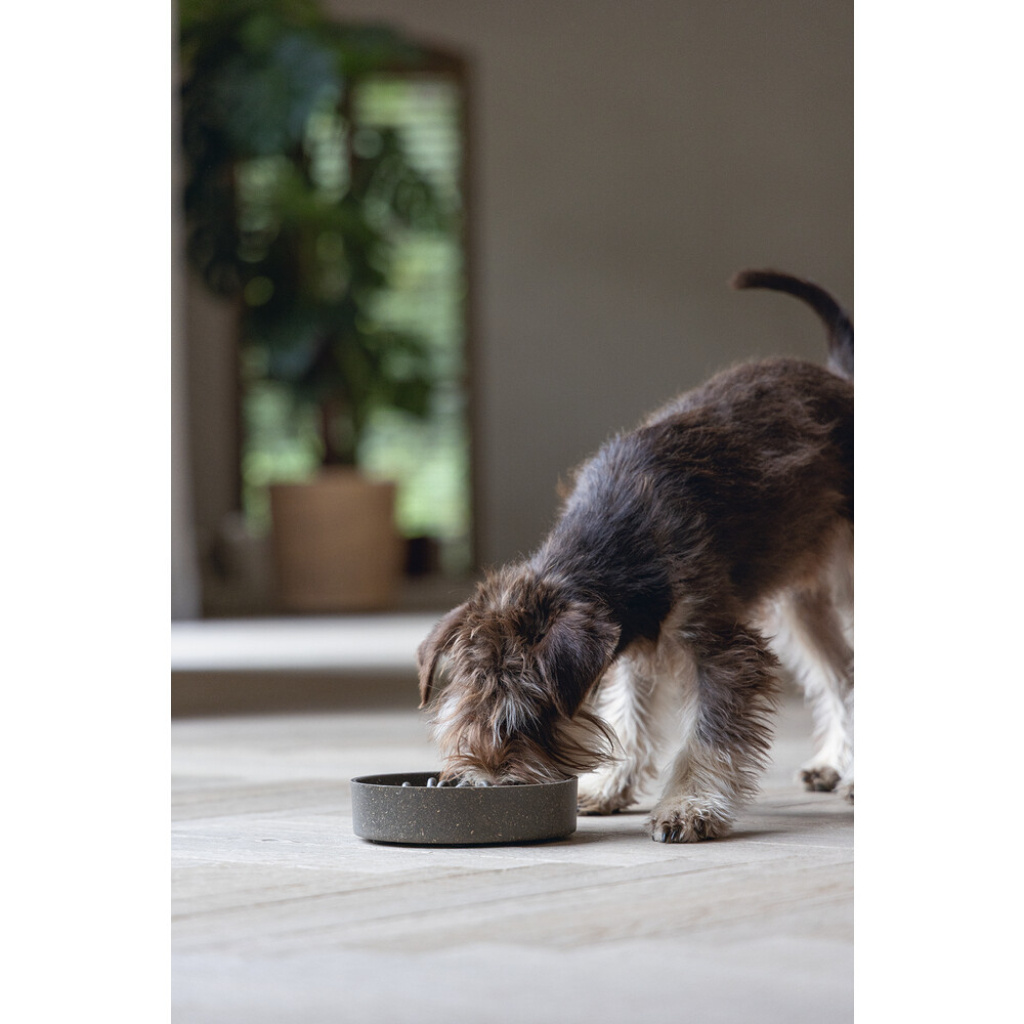 Beeztees Dbl Pom Yavaş Besleme Köpek Mama Kabı 800ml