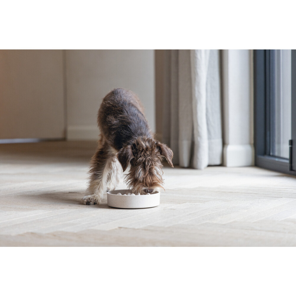 Beeztees Dbl Yavaş Besleme Köpek Mama Kabı 800ml (Bej)