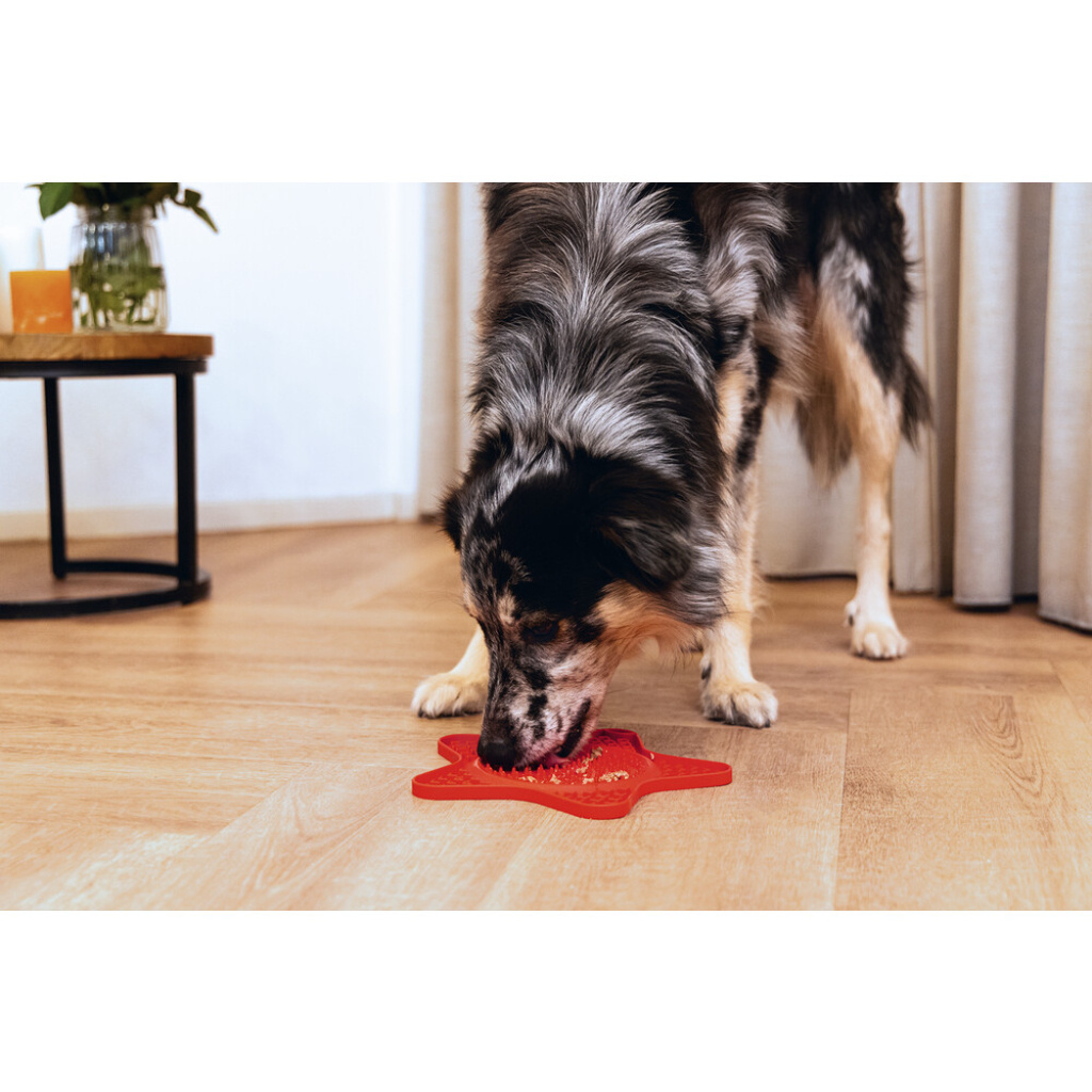 Beeztees Star Silikon Yıldız Yavru Köpek Yaş Mama Yeme Oyuncağı 24x20cm (Kırmızı)
