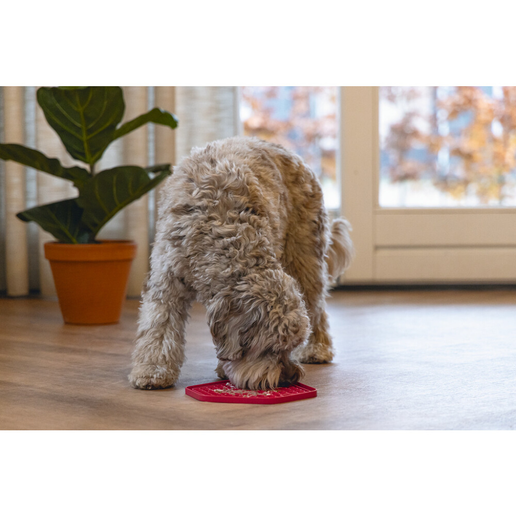 Beeztees Silikon Sekizgen Yavru Köpek Yaş Mama Yeme Oyuncağı 23x20cm (Pembe)
