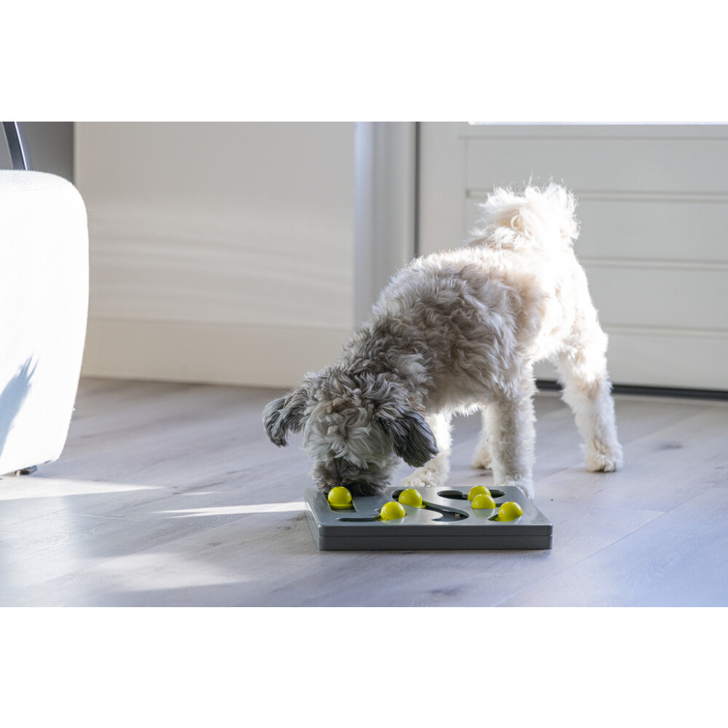 Beeztees Köpek Zeka Geliştirme Oyuncağı 28x28x4,5cm (Gri-Sarı)