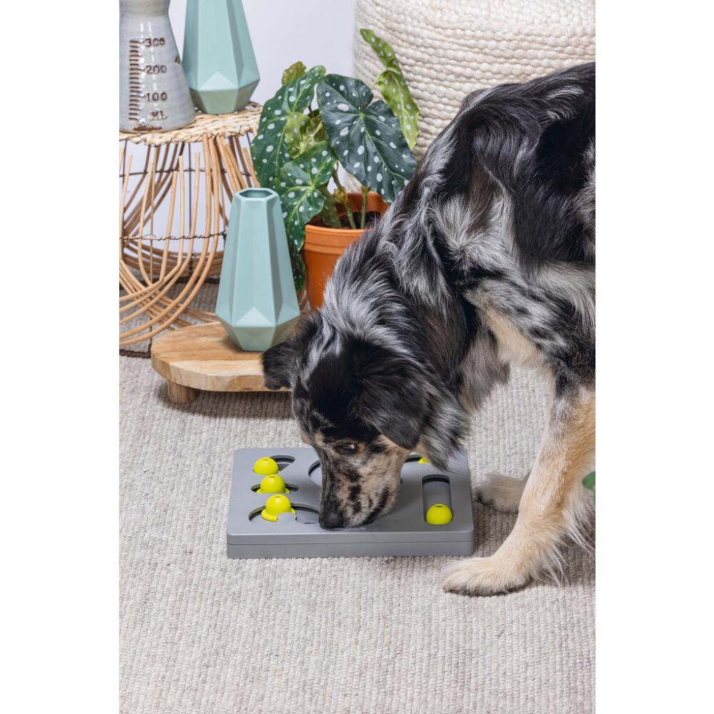 Beeztees Köpek Zeka Geliştirme Oyuncağı 28x28x4,5cm (Gri-Sarı)