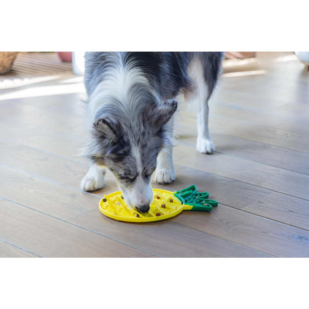 Beeztees Silikon Ananas Yavru Köpek Yaş Mama Yeme Oyuncağı 30x20x3cm (Sarı)